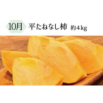 ふるさと納税 北山村 【発送月固定定期便】暑い季節にお届け!果物定期便 バレンシアオレンジ・桃・柿【tkb142】全3回 |  | 03