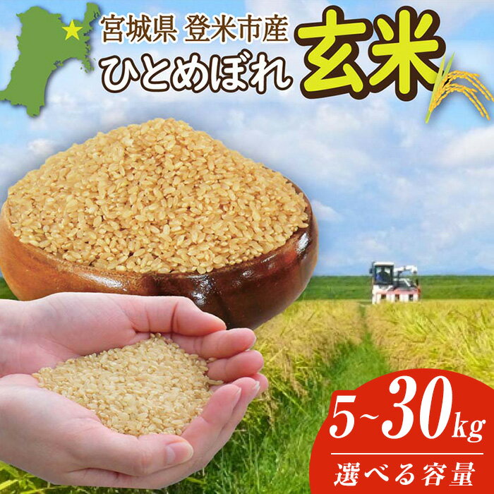 【ふるさと納税】≪令和7年産・新米≫ 宮城県登米市産 ひとめぼれ 玄米 5kg～30kg 選べる容量 お米 おこめ 米 白米 コメ ご飯 ごはん おにぎり お弁当 ブランド米 10kg【有限会社伊豆沼農産】tm406・tm408・tm481
