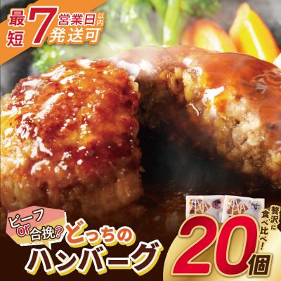 ふるさと納税 福智町 【7営業日以内発送】 どっちのハンバーグ!?デミグラスソース20個セット