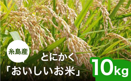 【令和5年産】とにかくおいしいお米 夢つくし 10kg 糸島市 / シーブ [AHC023] お米 10kg 送料無料 ギフト おこめ 10キロ