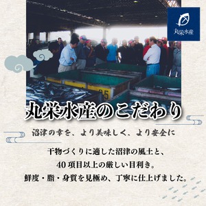 一夜干し 沼津の幸 3種類 セット 干物 一夜干し