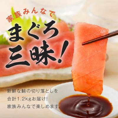 ふるさと納税 泉佐野市 天然まぐろ 切り落とし 合計 1.2kg 小分け 150g×8パック 015B569 |  | 01
