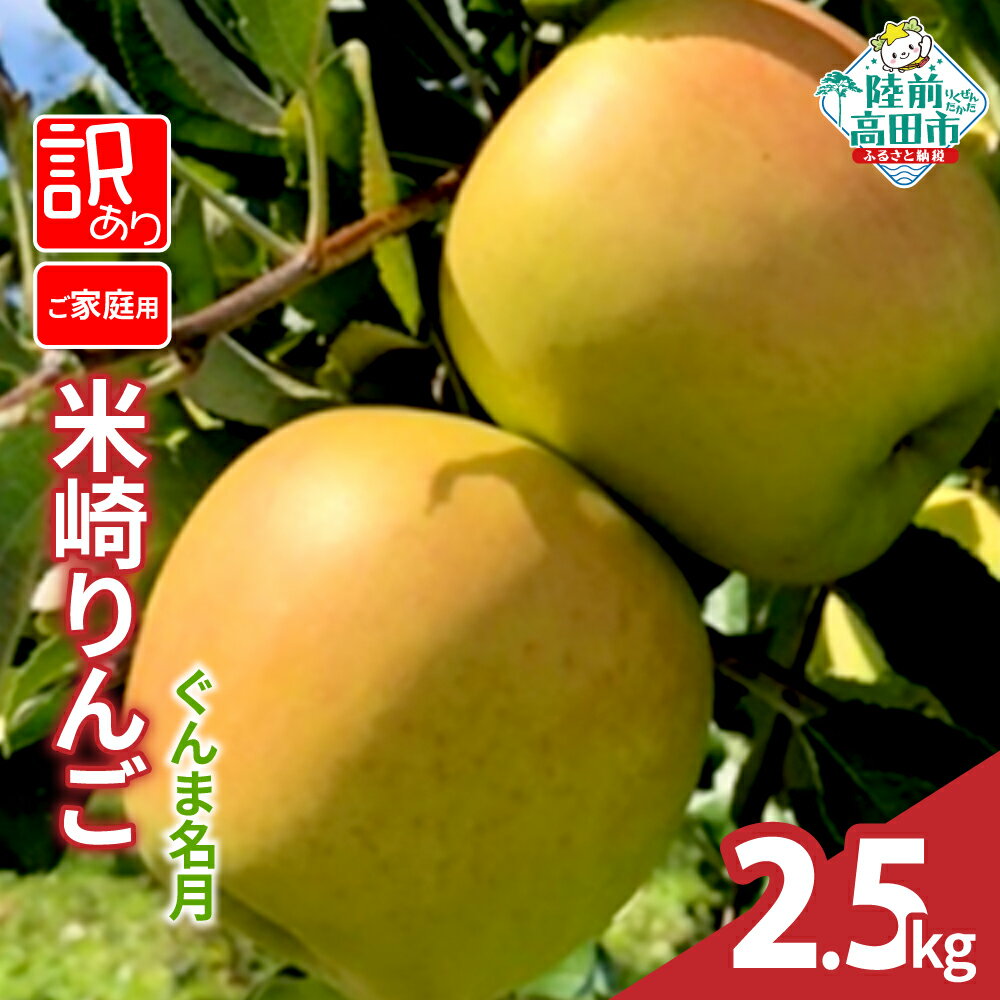 【ふるさと納税】先行予約 訳あり りんご 2.5kg 品種 ぐんま名月 [ 旬 フルーツ リンゴ 林檎 アップル 果物 米崎りんご 高評価 期間限定 数量限定 人気 ジューシー 甘い 産地直送 新鮮 旬 家庭用 農業 岩手 陸前高田 JA 大船渡市農業協同組合 ]