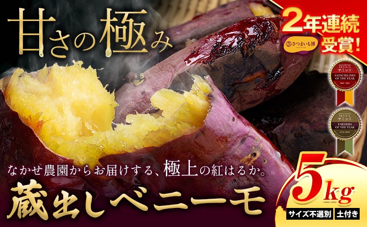 芋 熊本 県 大津 町産 なかせ 農園の蔵出しベニーモ 選べる 約 5kg (大中小サイズ不揃い)《1-5日以内に出荷(土日祝除く)》 さつま いも さつま芋 芋 紅 はるか スイート ポテト 干し芋にも 特産品 SDGs 中瀬農園---fn_nksimo_s_24_8000_5000g---