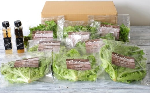 【Ortolano】ファーストクラスのサラダ＆ドレッシングセット B サラダ ドレッシング 詰め合わせ セット 野菜 岡山県 倉敷市