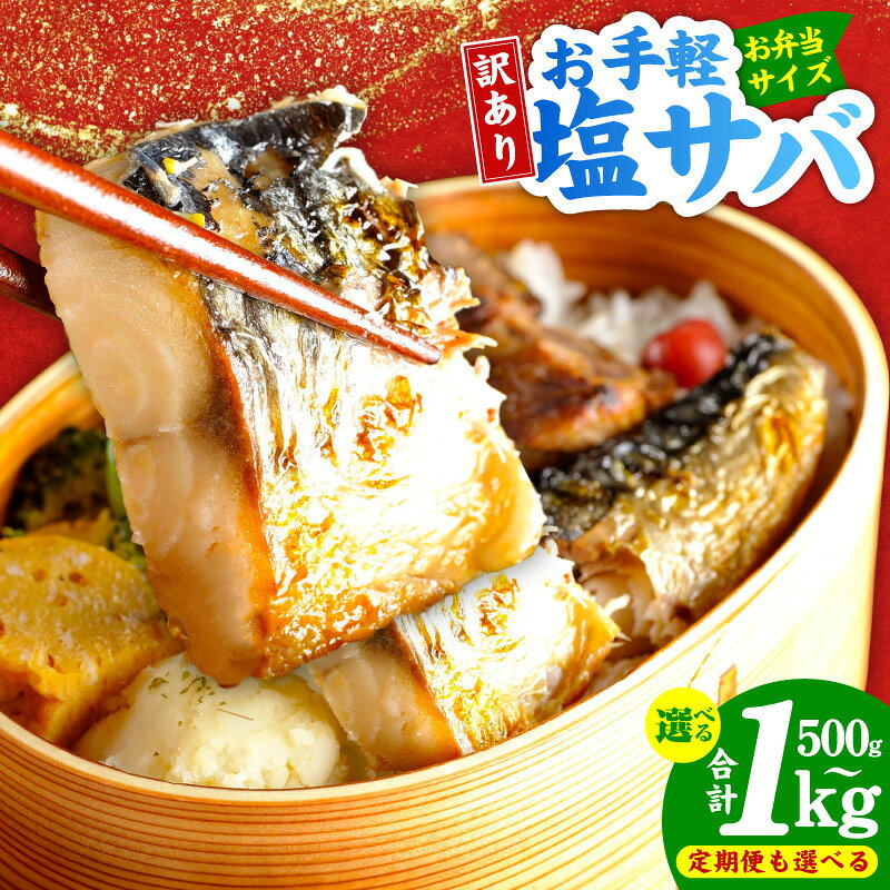 【ふるさと納税】塩サバ お弁当 小分け 選べる 500g / 1kg 定期便 ノルウェー産 脂のり抜群 小分けパック 保存便利 魚 青魚 焼き魚 おかず 朝食 冷凍 魚介類 切身 混ぜご飯 お茶漬け 定番おかず 晩酌の肴 訳あり 大阪府 泉佐野市 送料無料