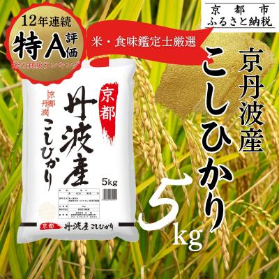 ふるさと納税 京都市 <令和7年産>京都丹波産 こしひかり 5kg ※米食味鑑定士厳選 ※精米したてをお届け