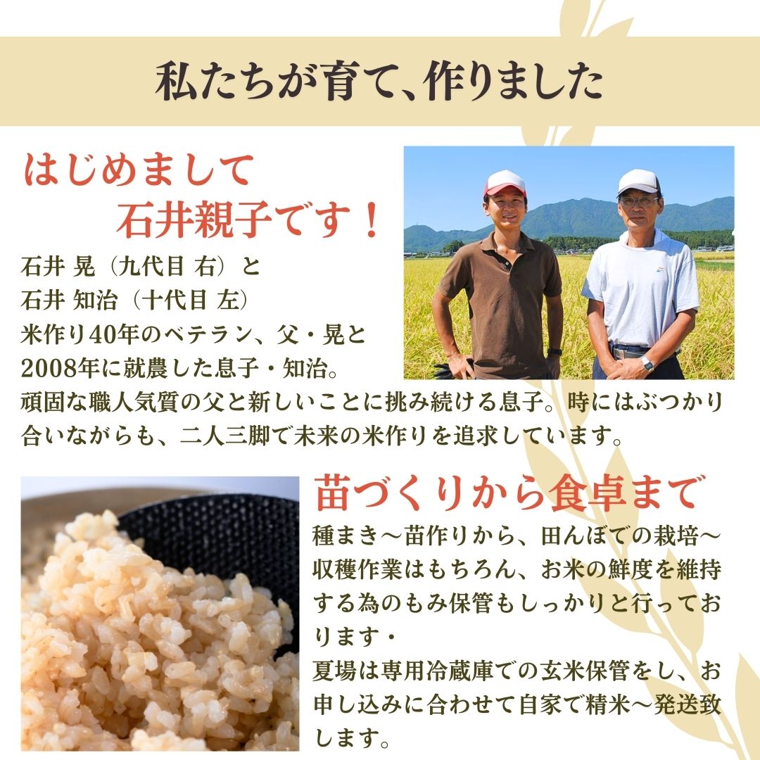 新潟県弥彦村石井農園 令和7年産コシヒカリ＜玄米 5kg＞ | 新潟県 弥彦村