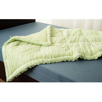 ふるさと納税 山形市 【日本の極み】選べる3色♪お昼寝ふわとろケット [グリーン]  FZ23-299 |  | 02