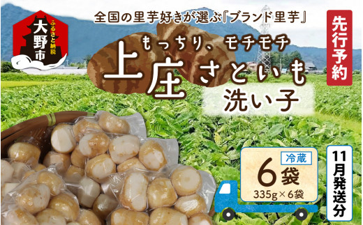 【先行予約】【11月発送分】満天☆上庄産さといもの「洗い子2.01kg（335g×6袋）」 日本一の味をめざし、有機肥料配合、減農薬栽培の「独自栽培」で作る洗い子