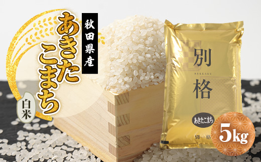 令和7年産 あきたこまち 白米 5kg【配送不可地域：離島・沖縄県】