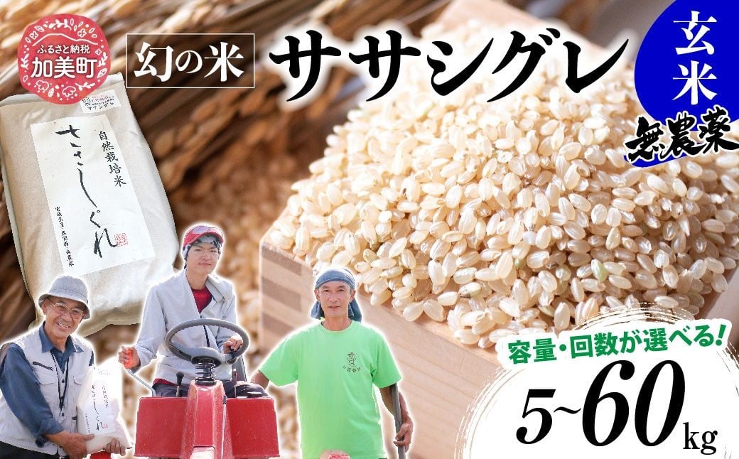 
                  《 希少品種米 》  米 令和7年 宮城県産 ササシグレ ( 栽培期間中農薬・肥料不使用 ) 玄米 5kg 10kg 単品 3ヶ月 6ヶ月 定期便 も 選べる [ 宮城県 加美町 ]  米 お米 こめ コメ 無農薬 玄米 ささしぐれ nt-gn-r7
                