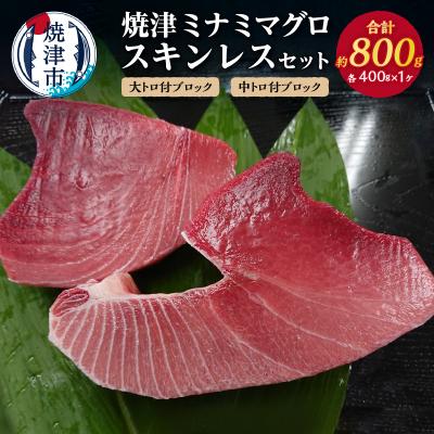 ふるさと納税 焼津市 焼津ミナミマグロスキンレスセット(a31-011)