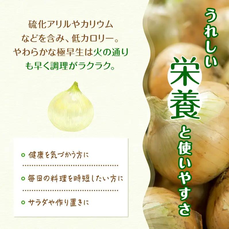 新玉ねぎ 極早生 3kg うしろ農園 甘い 新玉ねぎ