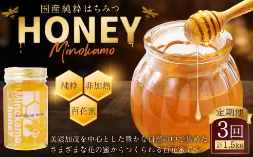 【3ヶ月定期便】国産 無添加 MINOKAMO HONEY はちみつ 1本（500g）×3回 ｜ 藤井養蜂 蜂蜜 ハニー 非加熱 純粋 百花蜜 定期便 岐阜