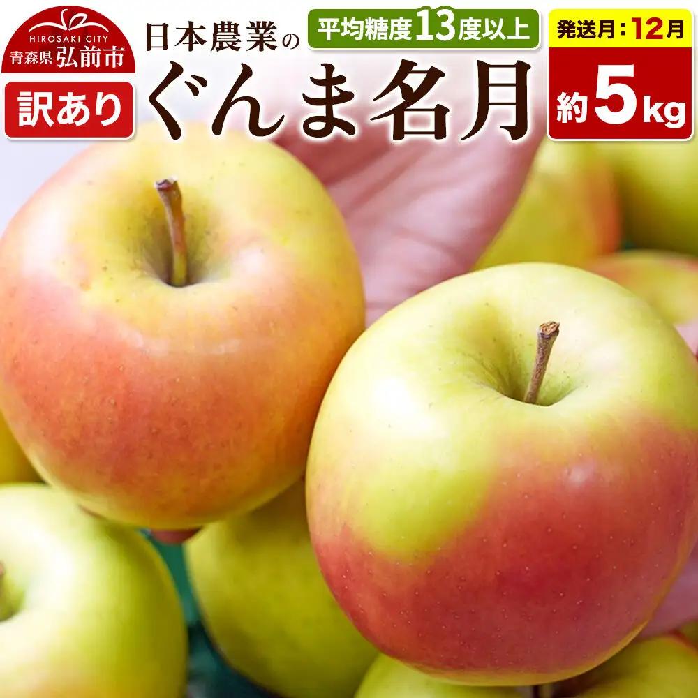 【26年12月発送】りんご ぐんま名月【訳あり】約5kg 平均糖度13度以上 青森県 弘前市 果物 フルーツ 林檎 リンゴ くだもの 不揃い 規格外