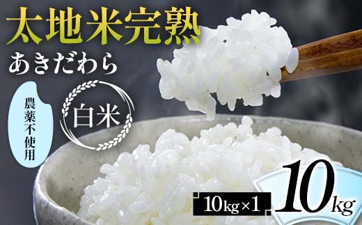 2024年産 農薬不使用 太地米完熟 【あきだわら】 白米 10kg ブランド米 お米 精米 白米 人気 F7X-0322