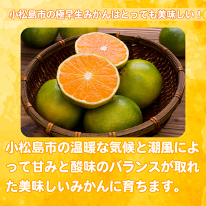 【2025年9月20日以降発送】 みかん 秀品 極早生みかん 5kg 蜜柑 ミカン 柑橘 旬 フルーツ 果実 ジュース 小松島市 甘い ジューシー デザート 産地直送