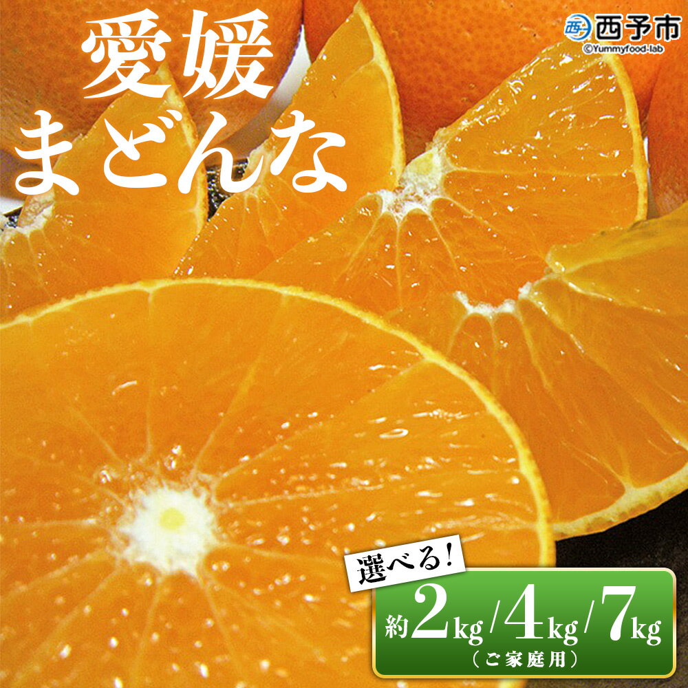 【ふるさと納税】先行予約 紅まどんなと同品種！＜愛媛県西予市産 愛媛まどんな 家庭用 約2kg／4kg／7kg＞ 訳あり 柑橘 果物 フルーツ オレンジ 愛媛果試第28号 期間限定 選べる マドンナ 食べて応援 宇都宮物産【常温】『2025年12月上旬～2026年1月中旬迄に順次出荷予定』
