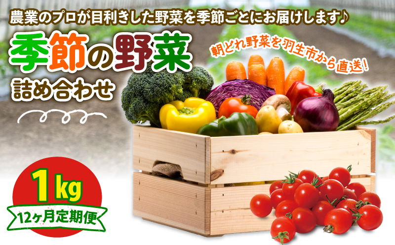 季節の野菜 詰め合わせ 1kg 12ヶ月