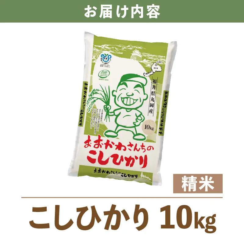 【令和7年産】 おおかわさんちのコシヒカリ 10kg [A-10814]