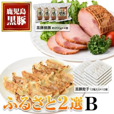 ふるさと納税 肝付町 ふるさと2選B(焼豚 約200g×4個、 餃子 12個入×10パック)　B02104