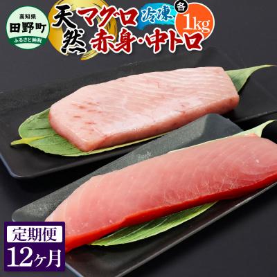 ふるさと納税 田野町 【四国一小さなまち】天然マグロ(赤身・中トロ 各1kg)★冷凍★12ヶ月定期便