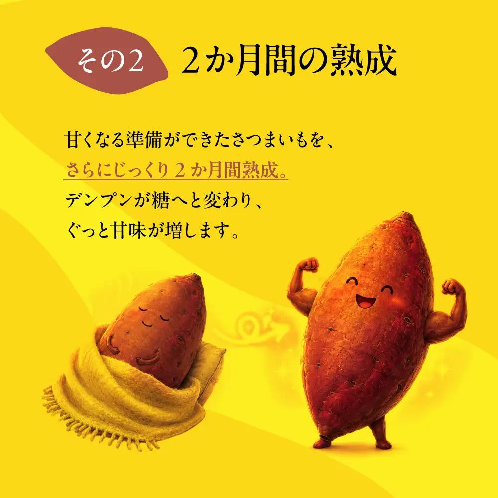 先行予約 訳あり さつまいも 8kg　さつまいも