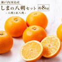 【ふるさと納税】【先行予約】しまの八朔セット約8kg（Mサイズ程度　約30個　紅八朔と八朔）＜2025年1月下旬から発送＞ | フルーツ 果物 くだもの 食品 人気 おすすめ 送料無料