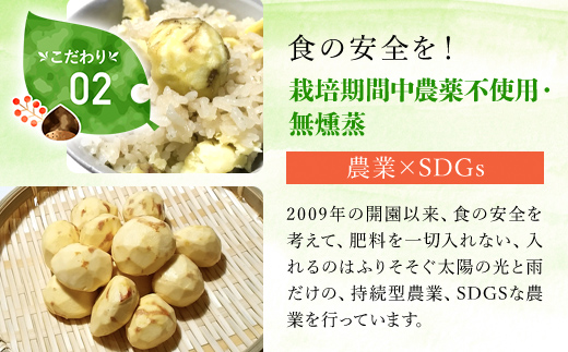 【先行予約11月上旬発送】秦栗園のあま～い氷蔵丹波栗 筑波2L むき500g【第1回福知山市ええもん認定】【熟成】 大粒 FCAC013