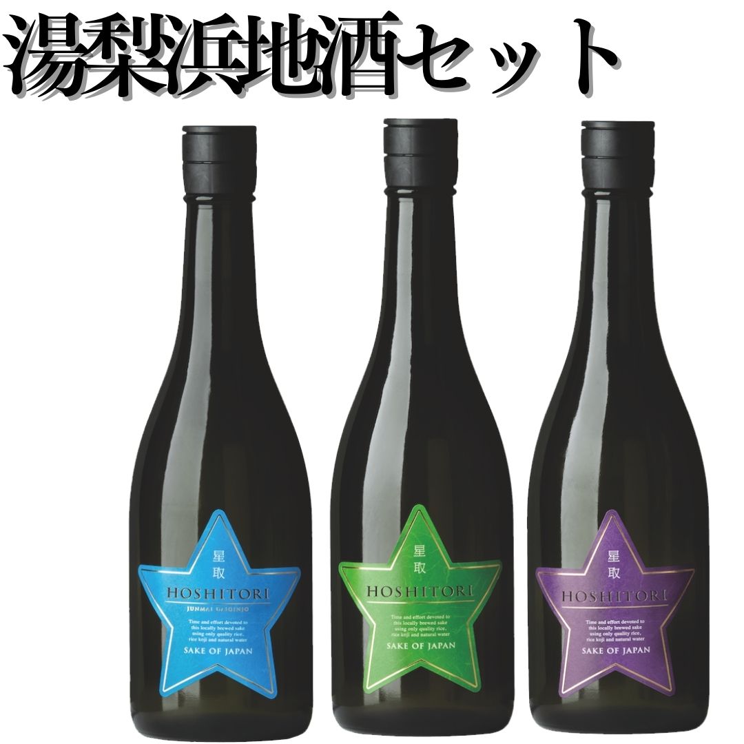 【ふるさと納税】湯梨浜地酒セット