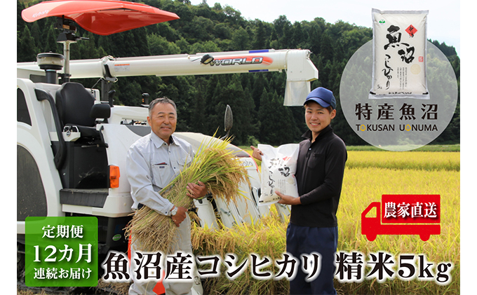 農家直送！ 魚沼産 コシヒカリ 精米 5kg 12ヶ月 連続お届け（ 米 定期便 こしひかり お米 こめ コメ 魚沼産コシヒカリ 魚沼 新潟 魚沼産こしひかり おこめ 白米 定期 お楽しみ 12回 ）