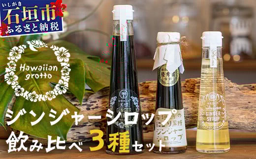 ジンジャーシロップ飲み?べ3種セット(200ML×1本、120ML×2本)　HW-5 【沖縄県石垣市 沖縄 沖縄県 琉球 八重山 八重山諸島 石垣 石垣島 送料無料 ?垣島産?姜 生姜 シロップ ジンジャー ジンジャーシロップ グラニュー糖 黒糖 砂糖 ?唐?? 果汁 塩 ?垣の塩 レモングラス レモン フルーツ ミント  ギフト 国産】
