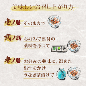 ひつまぶしセット 1人前 自宅で簡単 【うなぎ ひつまぶし 鰻】
