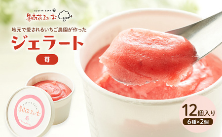ジェラート いちご アイス ジェラート【12個】