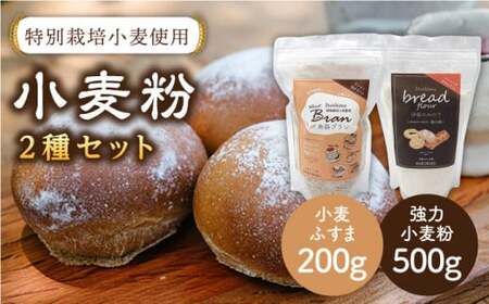 特別栽培小麦使用「糸島ブラン」と「伊都のみのり」セット 糸島市 / 天然パン工房楽楽【いとしまごころ】 [AVC003] 小麦粉 小麦粉 小麦粉 小麦粉 小麦粉 小麦粉 小麦粉 
