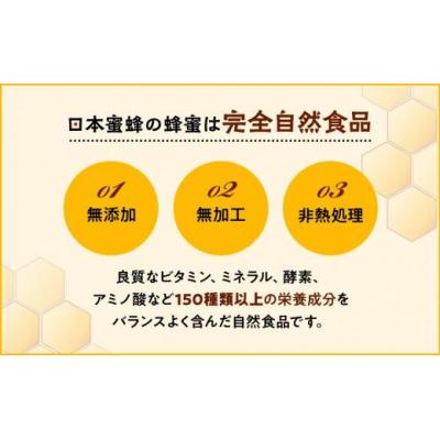 ふるさと納税 栃木市 日本蜜蜂のハチミツ100%!はちみつ(逆さ容器300g1本) |  | 01