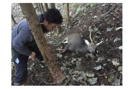 囲炉裏付き古民家に泊まり、猟師の罠猟に同行しよう!(ファミリー向け)