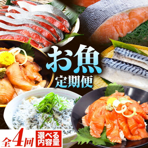 【ふるさと納税】【定期便 全4回】サバフィレ 銀鮭切身 魚切り身詰合せ 海鮮漬け 選べる 内容量 株式会社魚鶴商店《お申し込み月の翌月より出荷開始》 和歌山県 日高町 鮭 さけ 紅さけ 切り身 さば 塩さば 焼き魚 焼くだけ 簡単 魚 さかな タラ サーモン カンパチしらす