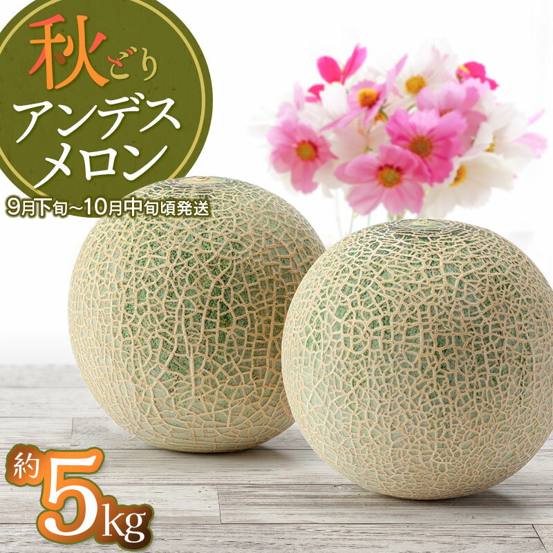 【ふるさと納税】【令和7年産先行予約】 鶴岡産 秋どりアンデスメロン【約5kg】3〜4玉入 小林ファーム | 山形県 鶴岡市 庄内 砂丘 返礼品 フルーツ 果物 くだもの お取り寄せグルメ めろん 西瓜 特産品 2025年産