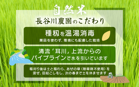 【玄米】5kg コシヒカリ 令和7年産 玄米【長谷川農園】 [m22-a010]