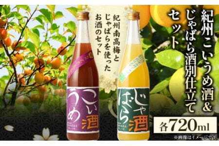 梅酒 紀州こいうめ酒＆じゃばら酒別仕立てセット 720ml×各1本 酒のねごろっく 《90日以内に出荷予定(土日祝除く)》リキュールリキュール