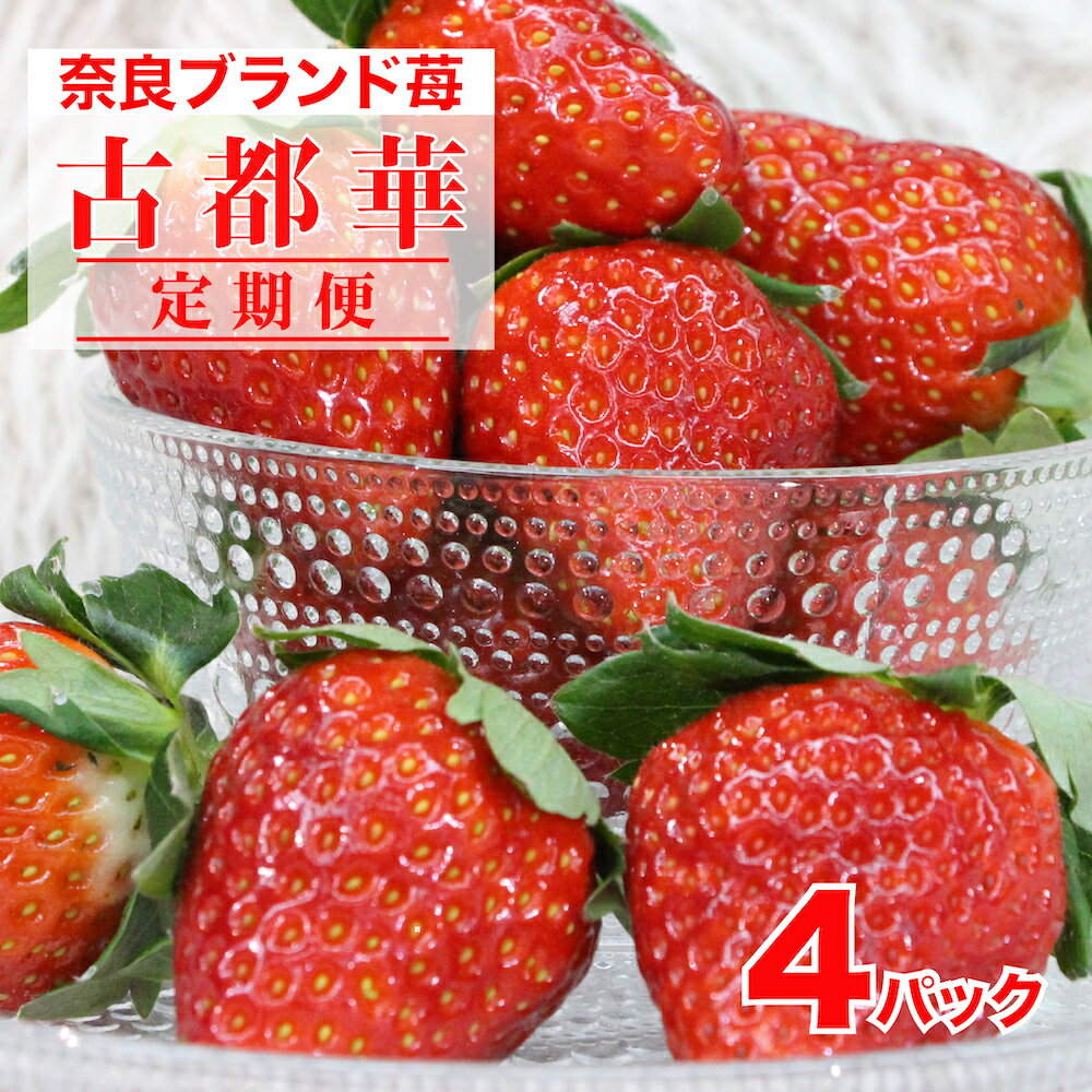 【ふるさと納税】【2026年先行予約】【いちご2回定期便】苺 古都華 ことか 約270g 4パック 計約1080g いちご 奈良 奈良県産 1kg イチゴ ストロベリー 人気 おすすめ 高評価 果物 ブランド苺 ブランドいちご 甘い 香り 糖度 高い 大粒 酸味 おいしい お得 くだもの フルーツ