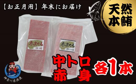 B19-015 【年内発送】神奈川県漁連　天然本マグロ　中トロ・赤身セット【お正月用】