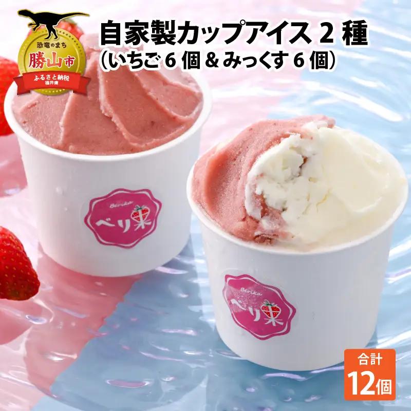 アイスクリーム 2種セットアイス