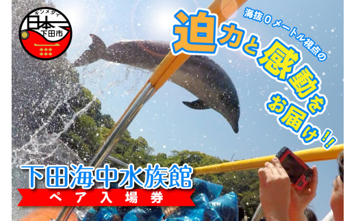 
下田海中水族館ペア入場券
