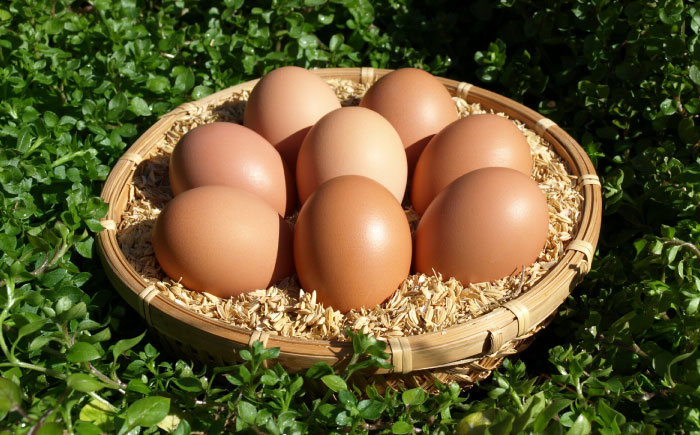 【人気のぷりんセット】えこびとのレトロプリンとはちみつプリン2種セット（計5個） / プリン おやつ はちみつ 洋菓子 デザート / 佐賀県 / 株式会社中村 [41AJCN009]