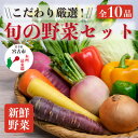 【ふるさと納税】【新鮮野菜】こだわり厳選!旬の野菜セット【配送不可地域：離島・北海道・沖縄県】【1374254】