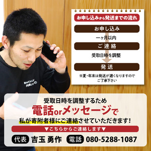 延岡よっとん バラブロック約1kg N003-YA968