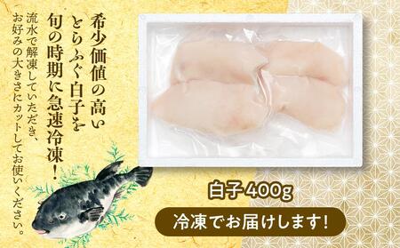 数量限定 ふぐ料理専門店 『栄ふく』 国産 とらふぐ 希少価値  白子 約400ｇ（200g×2P）